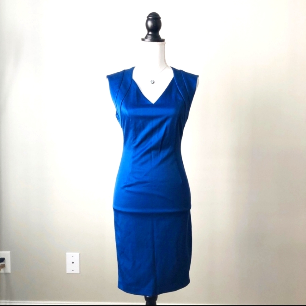 ZARA | Blue Queen Anne Neck Sheath Dress